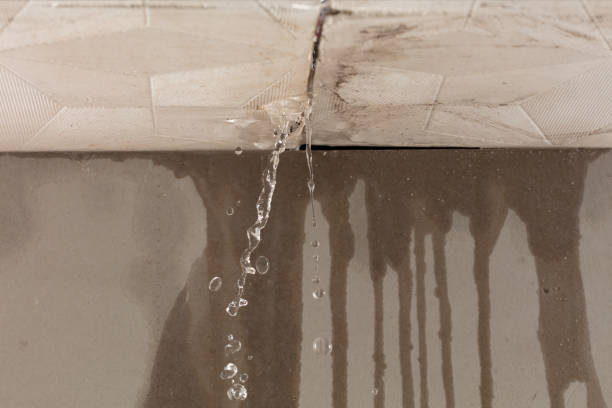 Professional Water Extraction technician working in Hart, MI